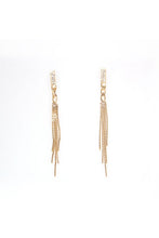 Load image into Gallery viewer, Edgy Dangle Tassel Earrings