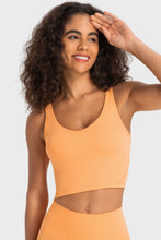 Load image into Gallery viewer, Deep V-Neck Crop Sports Bra
