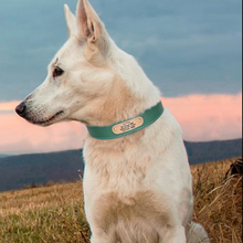 Load image into Gallery viewer, Custom Name Dog Collars Leather Pet Tags Unique Tags for Large Dogs Ti Amo I love you
