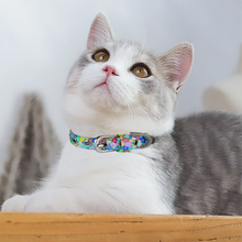 Load image into Gallery viewer, Custom Pet Cat&#39;s Collar Fashionable &amp; Comfortable Puppy Collars Ti Amo I love you
