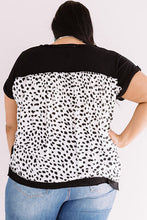 Load image into Gallery viewer, Black Plus Size Cheetah Back Rolled Cuffs T-shirt
