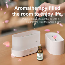 Load image into Gallery viewer, Humidifier Aroma Diffuser Air Essential Oil Ultrasonic Humidifier
