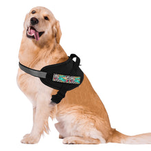 Load image into Gallery viewer, Ti Amo I love you - Exclusive Brand - Pet Chest Strap Harness &amp; Traction Leash - Size Large
