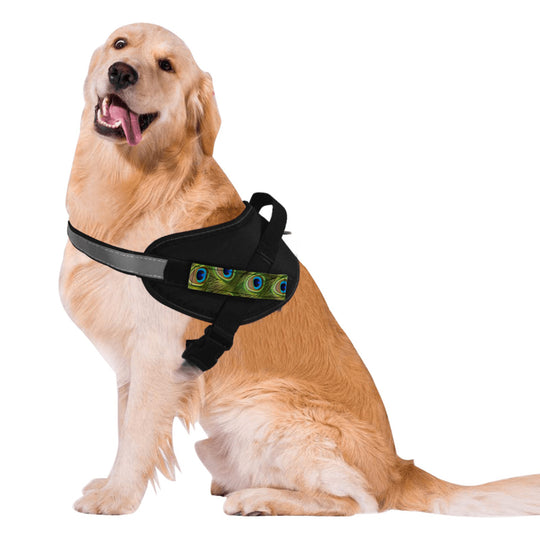 Ti Amo I love you - Exclusive Brand - Pet Chest Strap Harness & Traction Leash - Size Large
