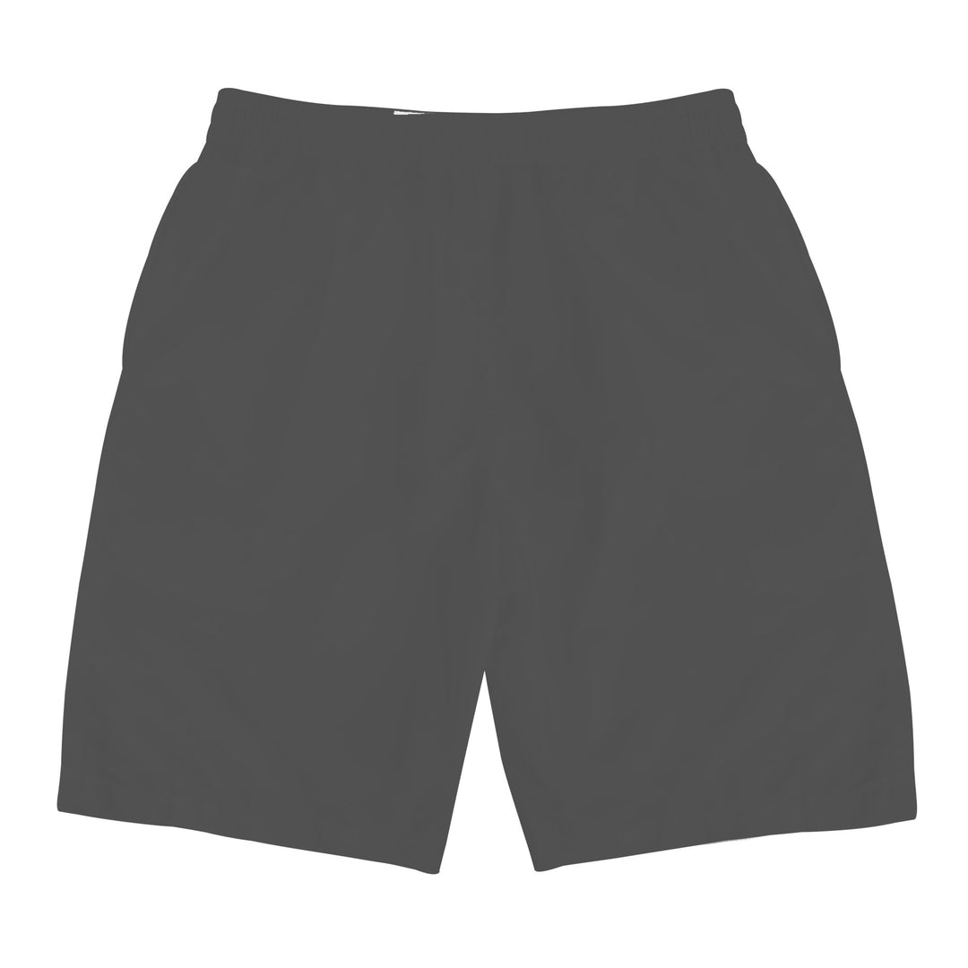 Ti Amo I lovew you - Exclusive Brand- Davy's Grey - Spider -  Men's Shorts
